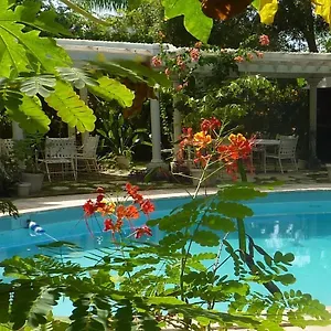 Orchard Garden Motel